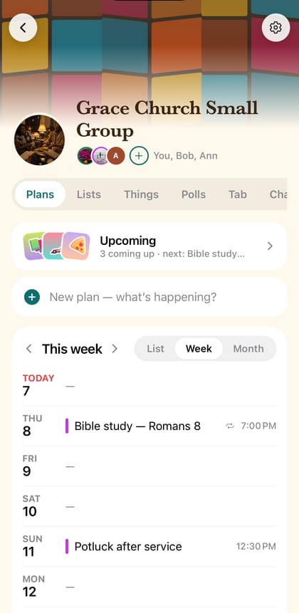 Grace Church Small Group in Kona: its banner, its people and its plans